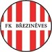 Brezineves
