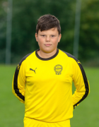 Dungl František